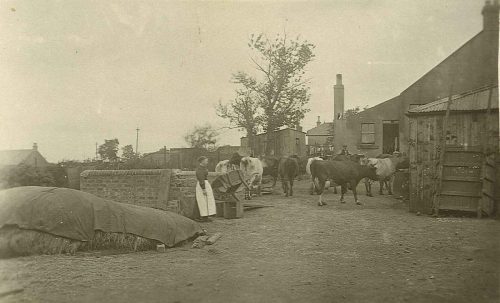 farm